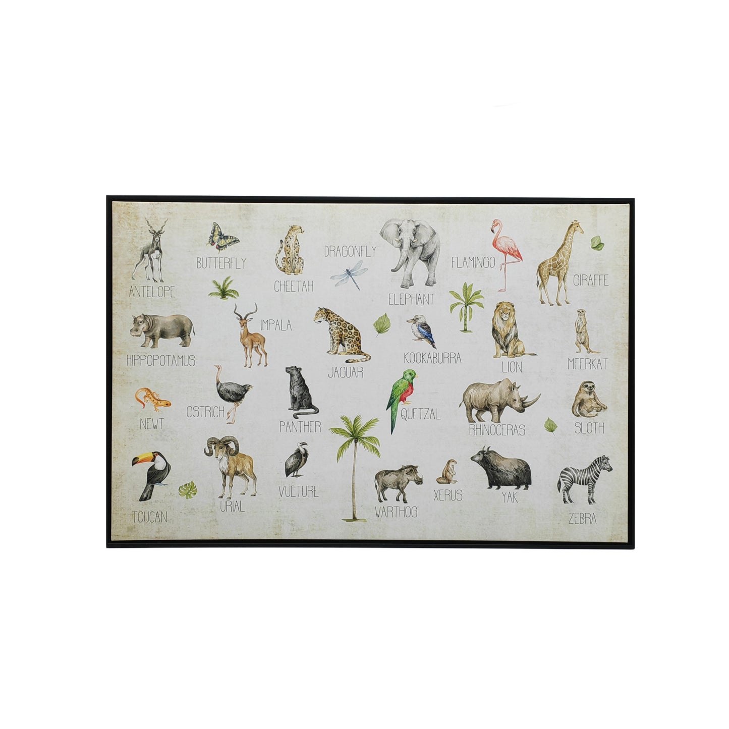 Jungle Animals Alphabet Black Floater Frame Wall Art