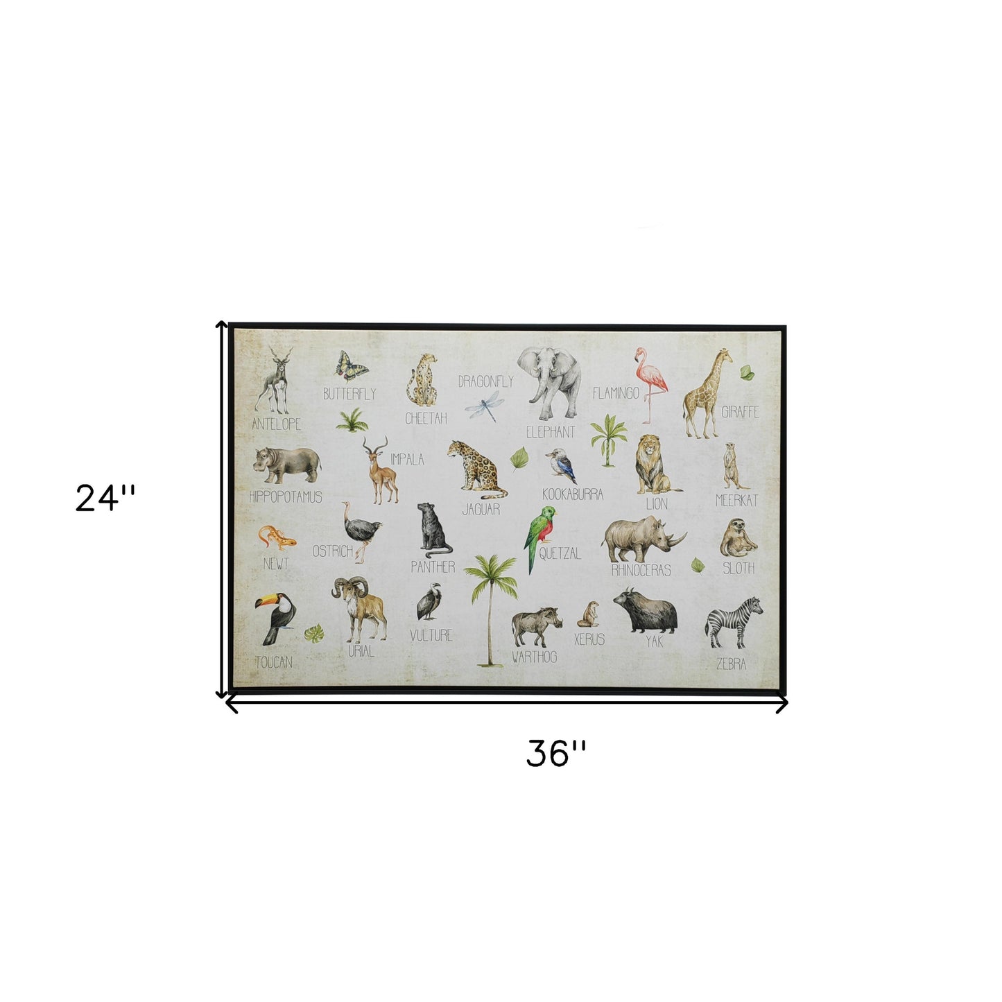 Jungle Animals Alphabet Black Floater Frame Wall Art